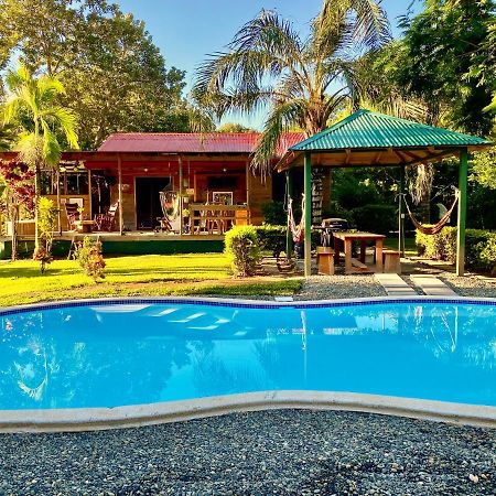 Uvita Oasis Retreat With Villa Cabins And Apartment Exteriör bild