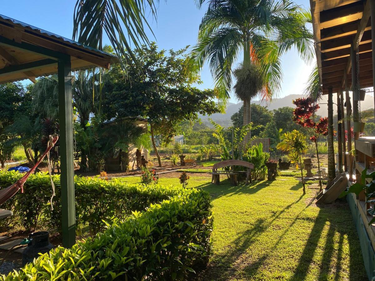 Uvita Oasis Retreat With Villa Cabins And Apartment Exteriör bild
