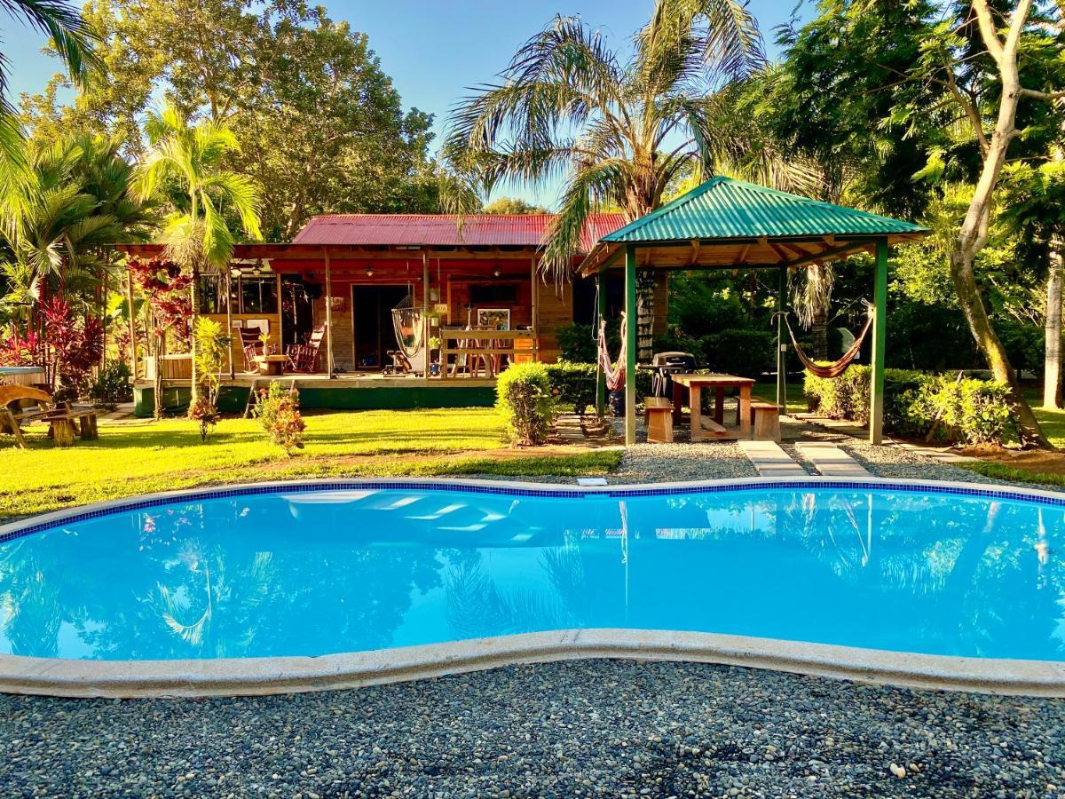Uvita Oasis Retreat With Villa Cabins And Apartment Exteriör bild