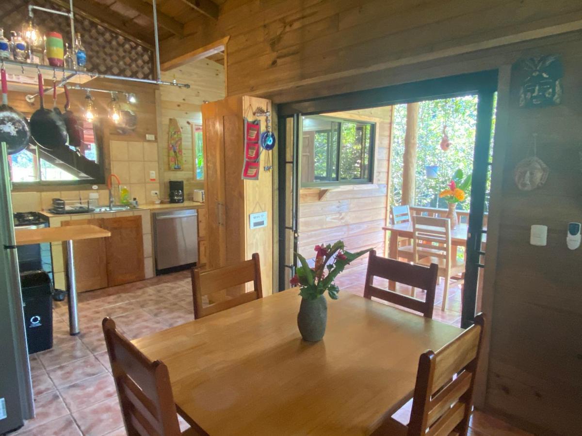 Uvita Oasis Retreat With Villa Cabins And Apartment Exteriör bild