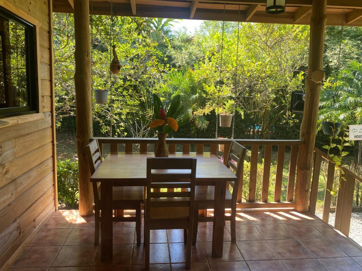 Uvita Oasis Retreat With Villa Cabins And Apartment Exteriör bild