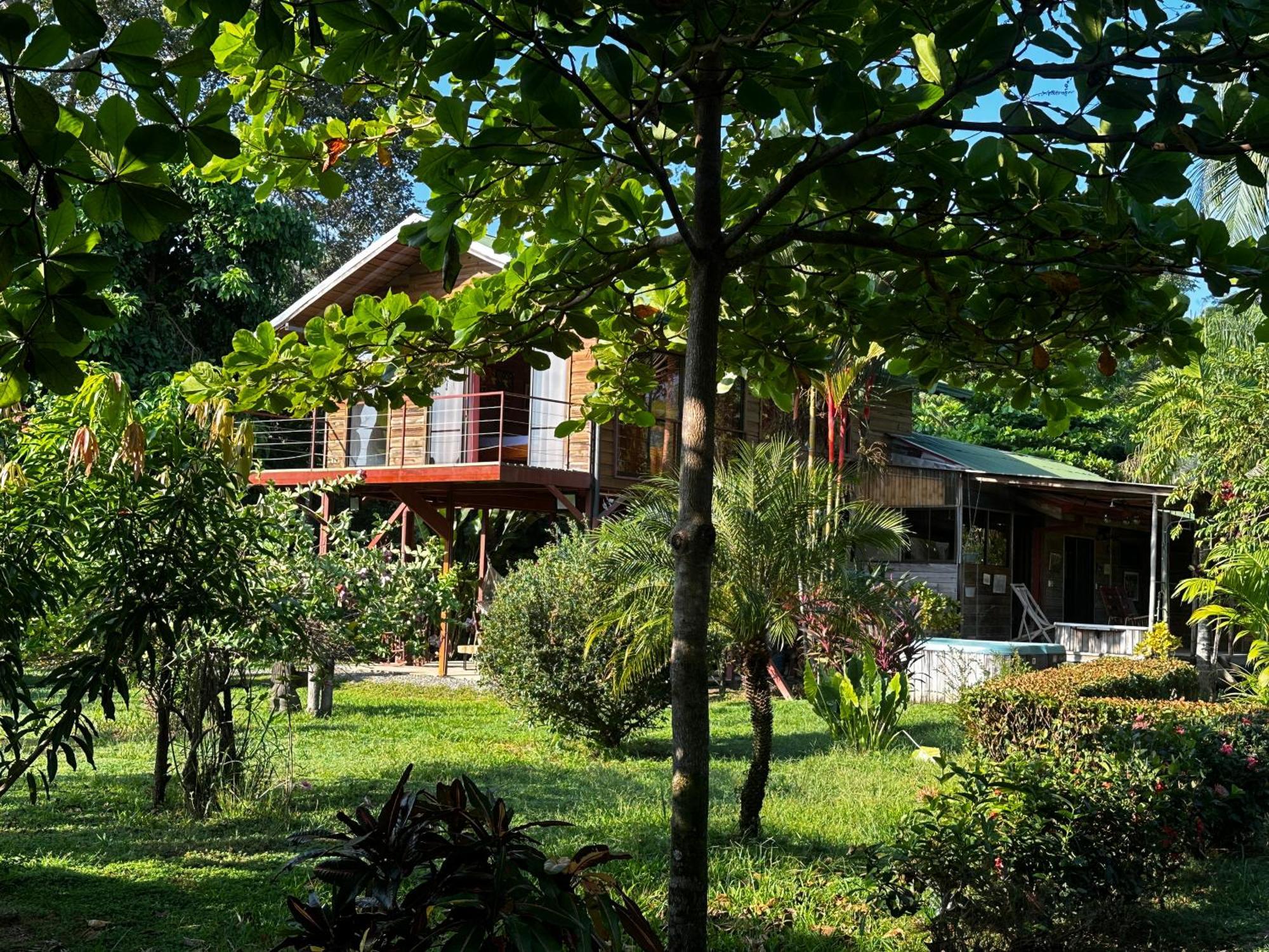 Uvita Oasis Retreat With Villa Cabins And Apartment Exteriör bild