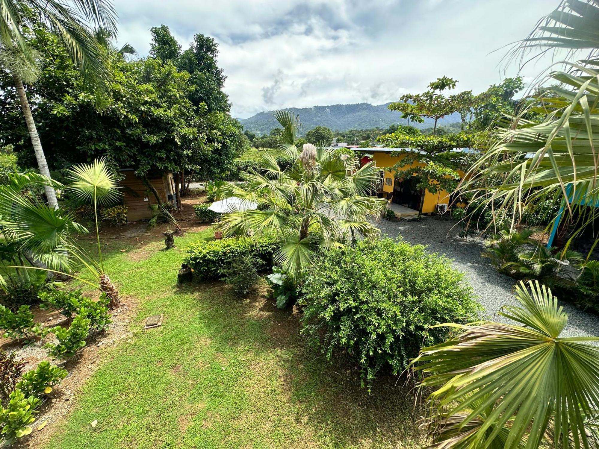 Uvita Oasis Retreat With Villa Cabins And Apartment Exteriör bild