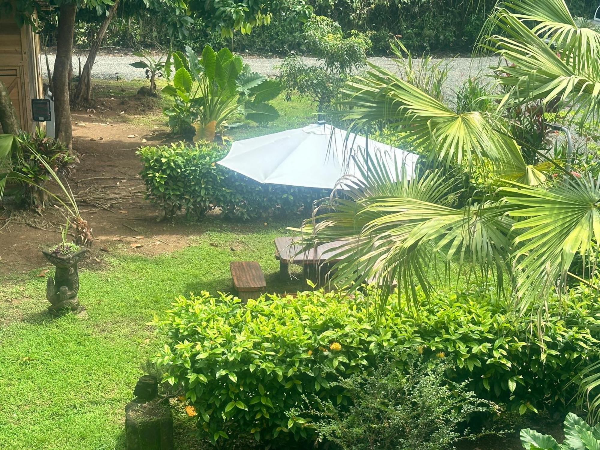 Uvita Oasis Retreat With Villa Cabins And Apartment Exteriör bild
