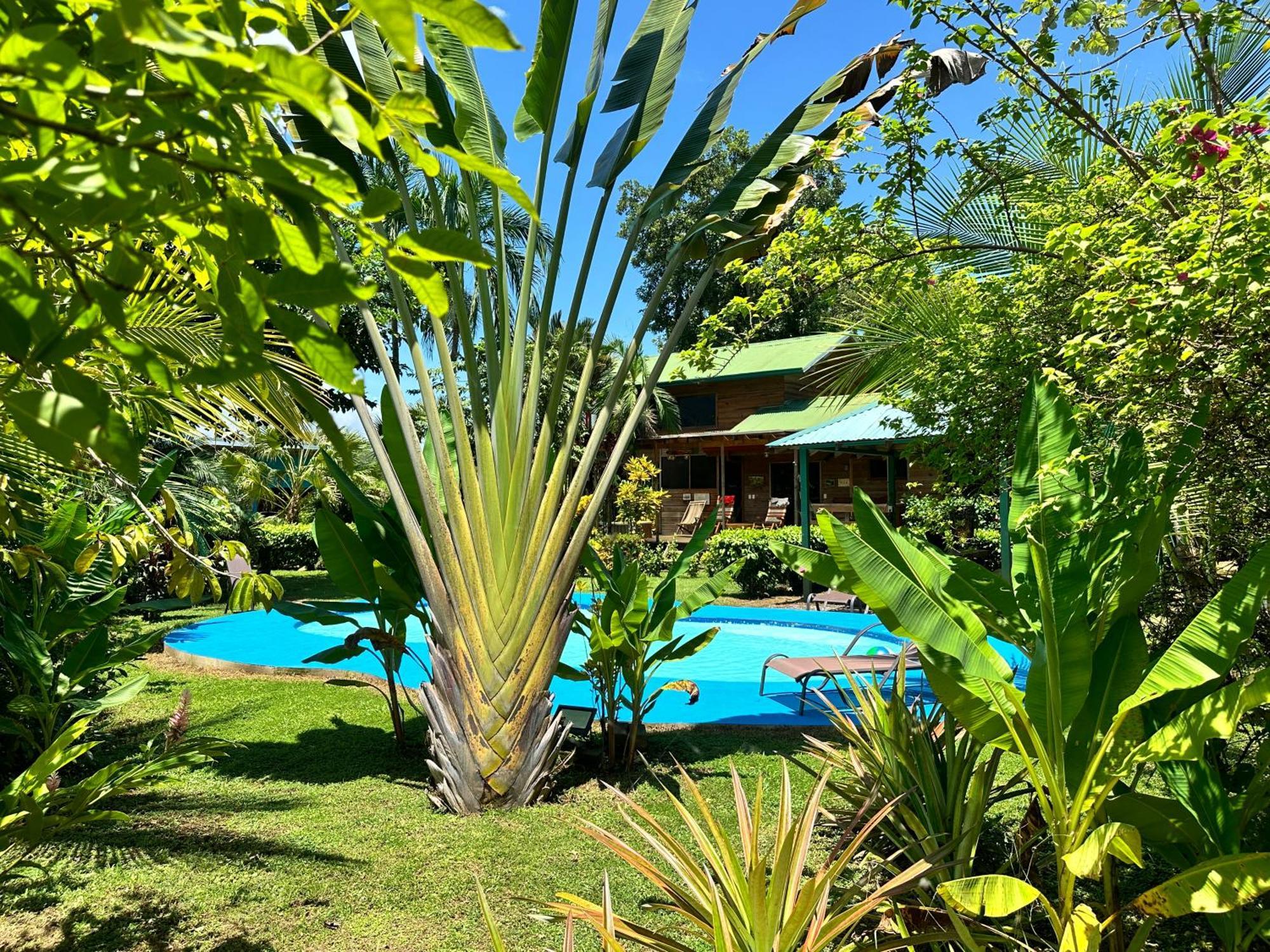 Uvita Oasis Retreat With Villa Cabins And Apartment Exteriör bild