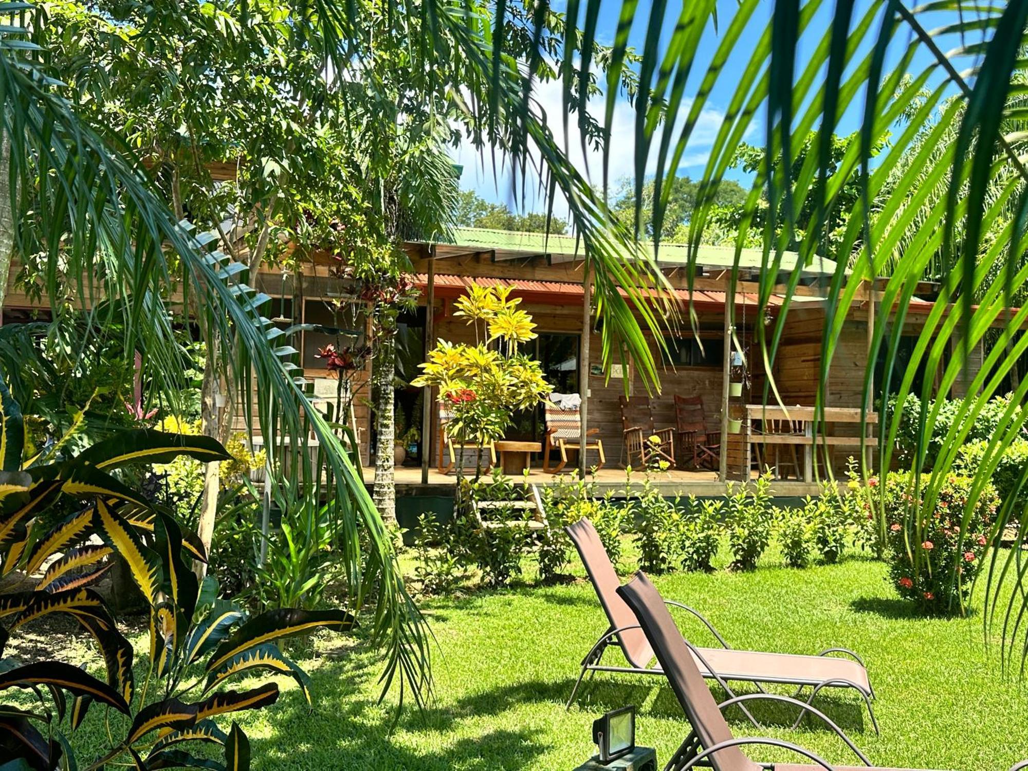 Uvita Oasis Retreat With Villa Cabins And Apartment Exteriör bild