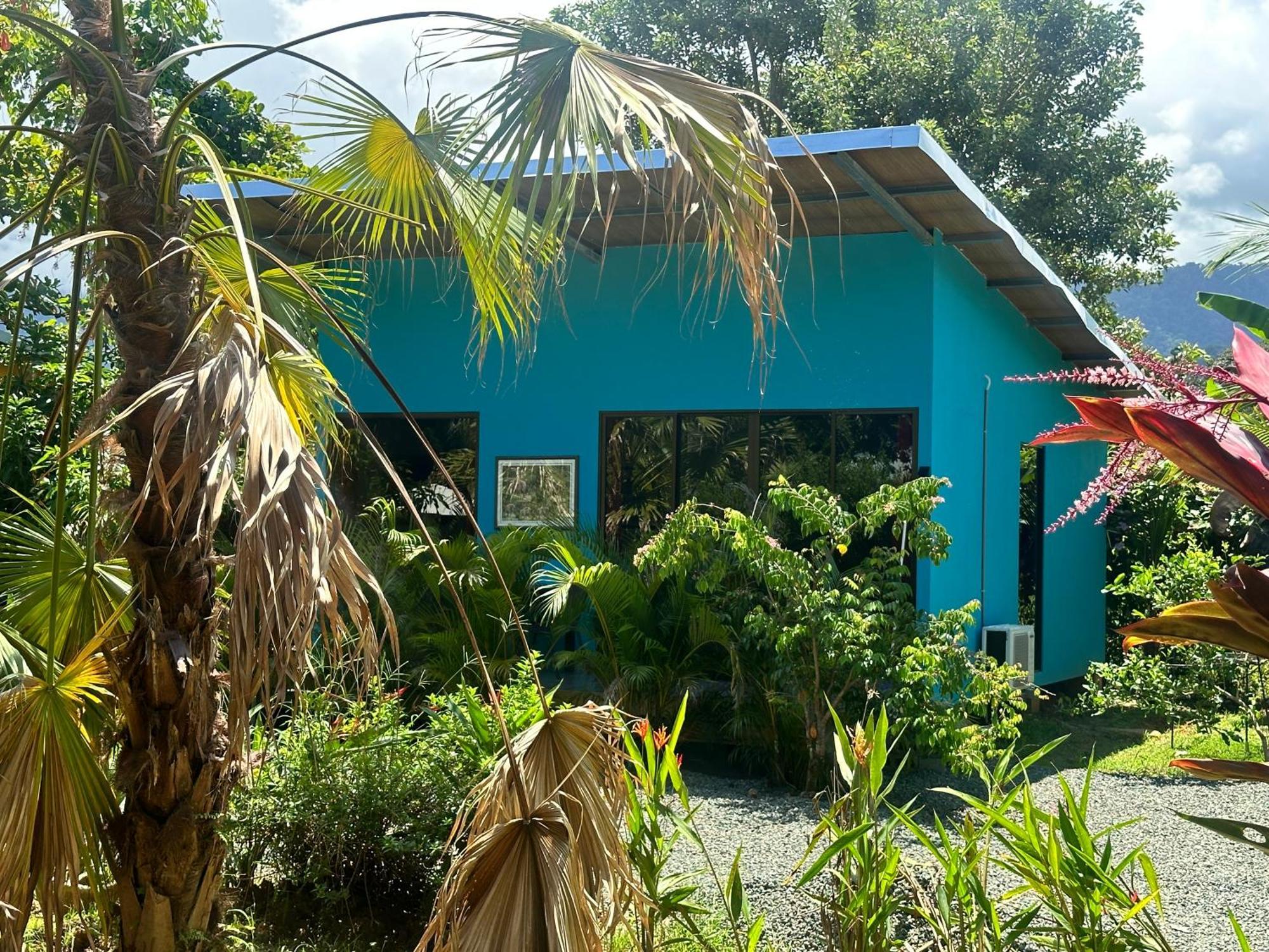 Uvita Oasis Retreat With Villa Cabins And Apartment Exteriör bild