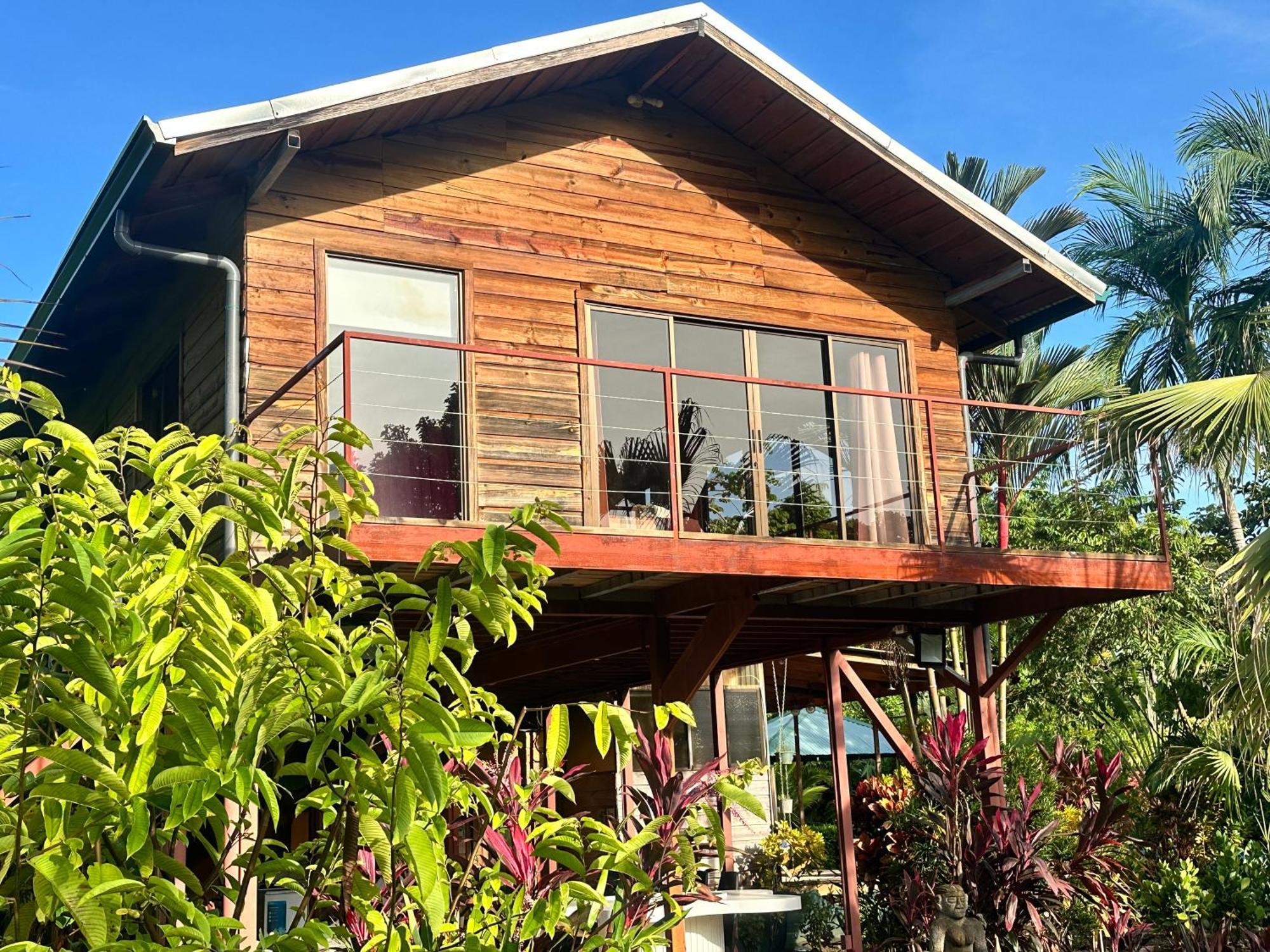 Uvita Oasis Retreat With Villa Cabins And Apartment Exteriör bild