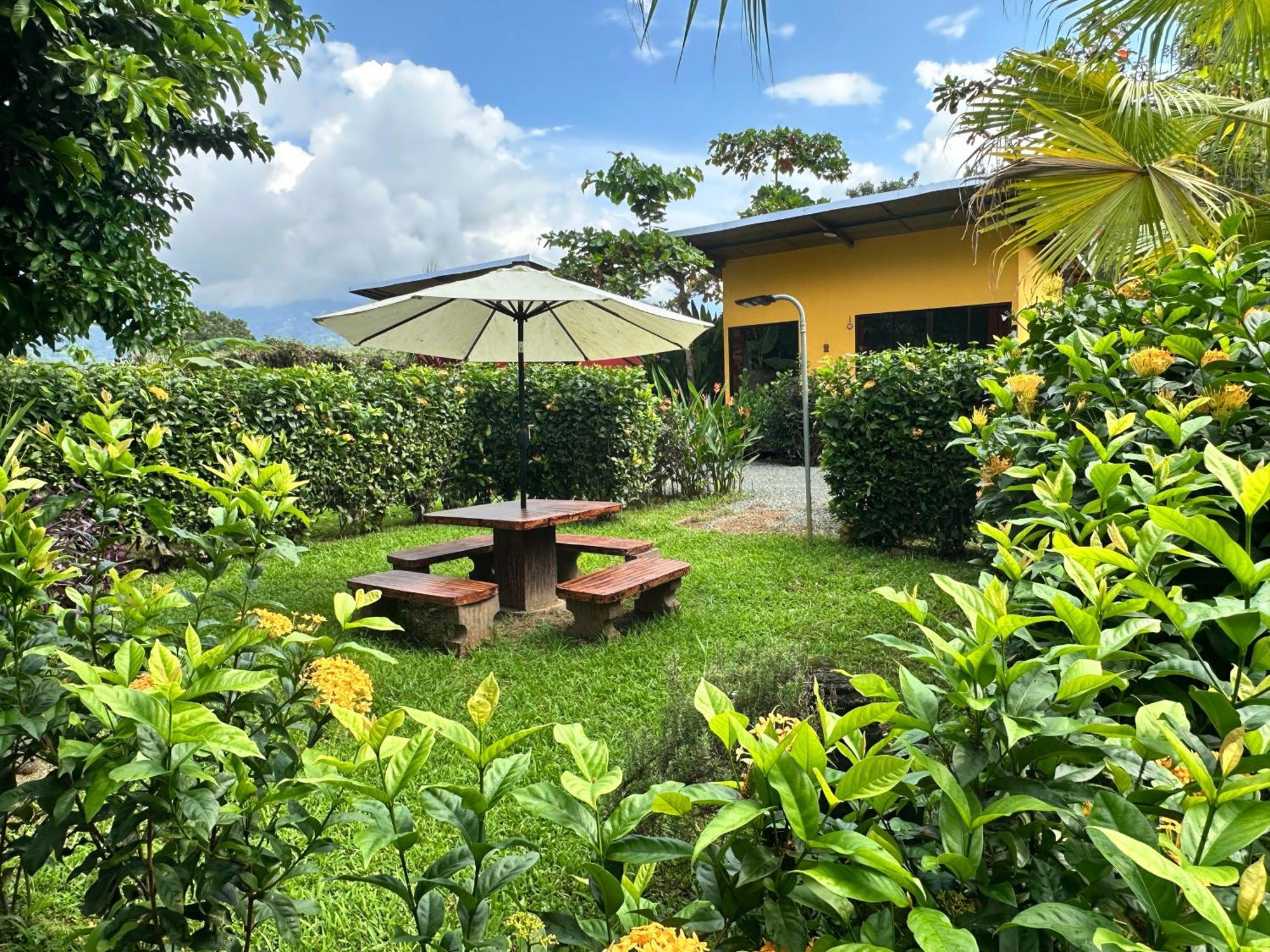 Uvita Oasis Retreat With Villa Cabins And Apartment Exteriör bild