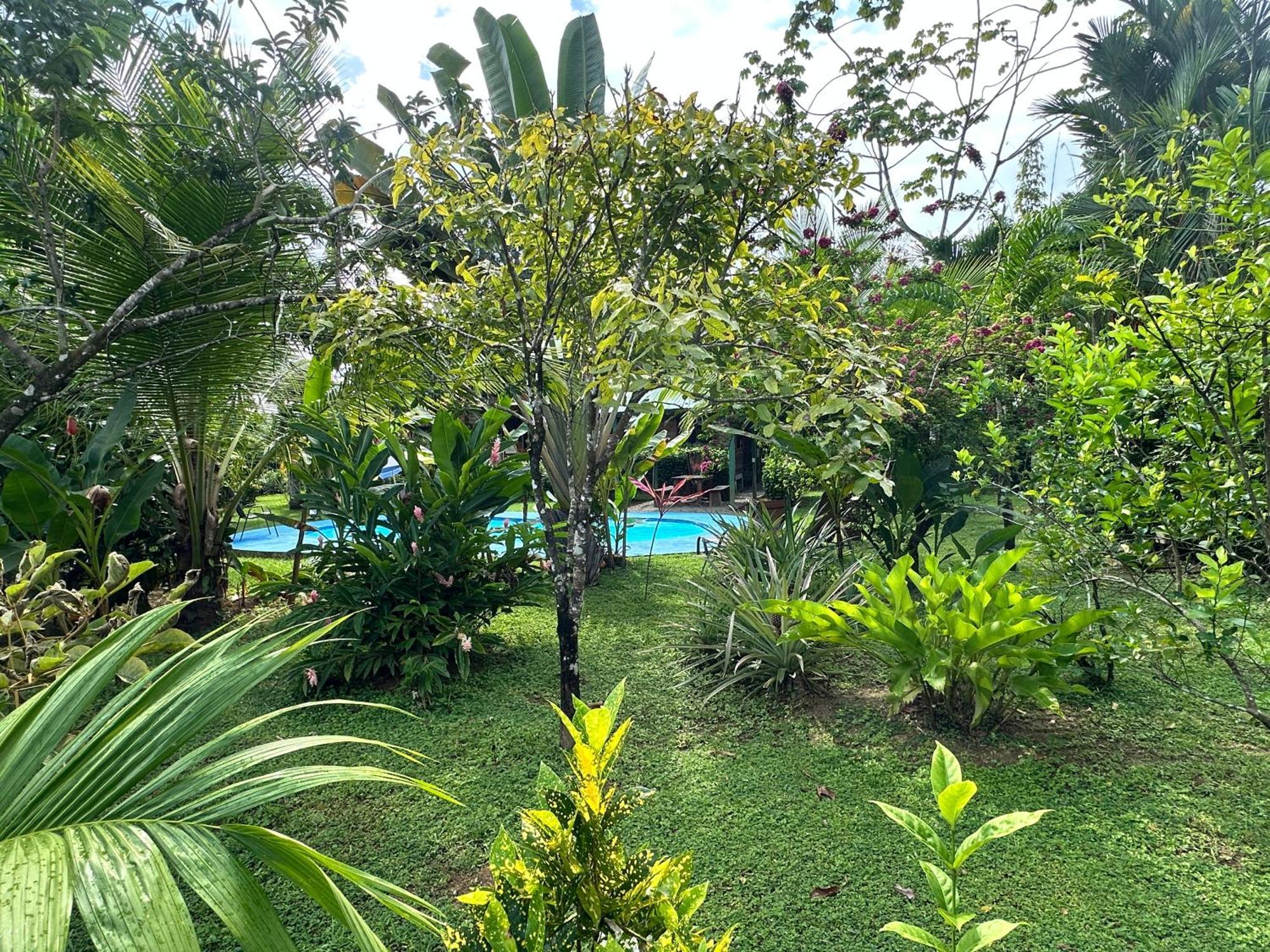 Uvita Oasis Retreat With Villa Cabins And Apartment Exteriör bild