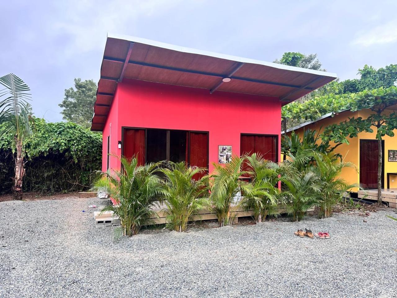 Uvita Oasis Retreat With Villa Cabins And Apartment Exteriör bild